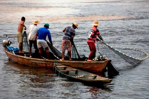MP-AM denuncia quadrilha por desvio de verba pública destinada a pescadores MP-AM denuncia quadrilha por desvio de verba pública destinada a pescadores