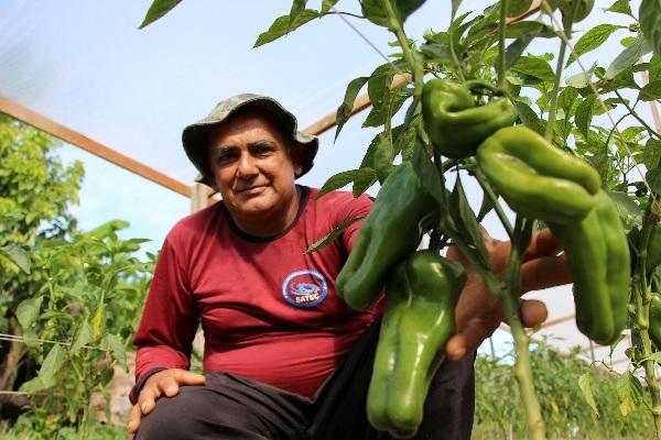 Programa de Aquisição de Alimentos realiza primeira chamada pública para edital de R$ 5 milhões Programa de Aquisição de Alimentos realiza primeira chamada pública para edital de R$ 5 milhões