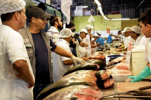 Sepror promove quatro dias de Feirão do Pescado com preços populares Sepror promove quatro dias de Feirão do Pescado com preços populares