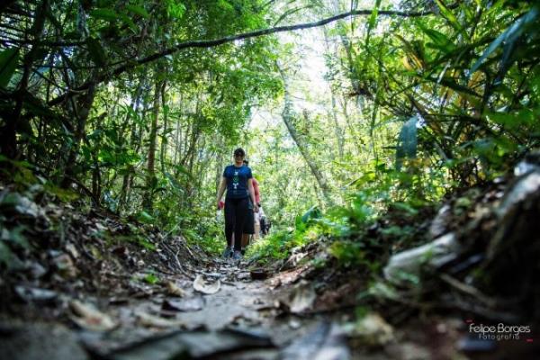 'Caminhos da Floresta' leva 120 trilheiros para o maior santuário de preservação animal de Santarém 'Caminhos da Floresta' leva 120 trilheiros para o maior santuário de preservação animal de Santarém