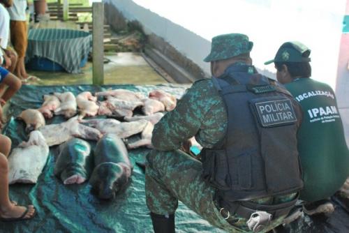 Ipaam e Polícia Ambiental apreendem animais silvestres abatidos em Manaus e Beruri Ipaam e Polícia Ambiental apreendem animais silvestres abatidos em Manaus e Beruri