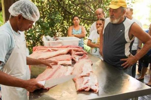 Feira do Pirarucu e Tambaqui na FAS terá peixes de R$ 5 a R$ 18 Feira do Pirarucu e Tambaqui na FAS terá peixes de R$ 5 a R$ 18