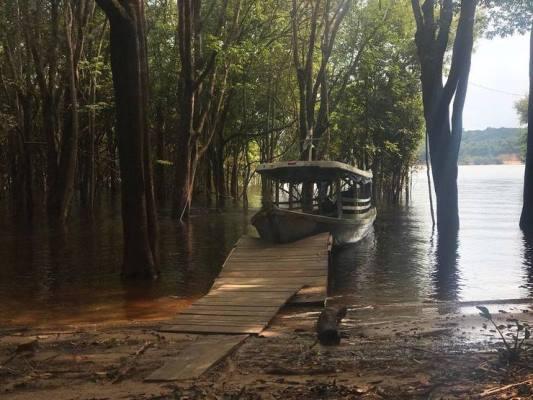 Adolescente morre em Manaus após colisão com embarcação da equipe da TV Globo Adolescente morre em Manaus após colisão com embarcação da equipe da TV Globo