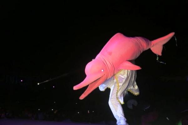 Cor de Rosa é o campeão do Festival dos Botos do Çairé 2018 Cor de Rosa é o campeão do Festival dos Botos do Çairé 2018