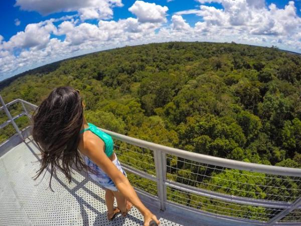 Saiba como subir em uma das mais altas torres de observação da Amazônia Saiba como subir em uma das mais altas torres de observação da Amazônia