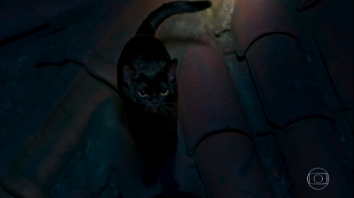 O Sétimo Guardião: Gato Léon vira homem, dá surra em Sampaio e tem rosto humano revelado O Sétimo Guardião: Gato Léon vira homem, dá surra em Sampaio e tem rosto humano revelado