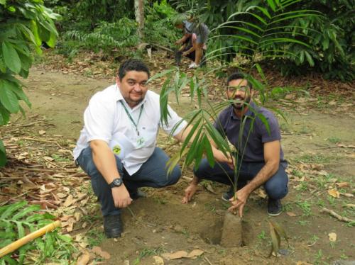 Conab planta 85 mudas de árvores em Manaus Conab planta 85 mudas de árvores em Manaus