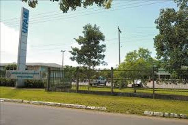 UFAM abre seleção para professor substituto com vagas para capital e interior UFAM abre seleção para professor substituto com vagas para capital e interior