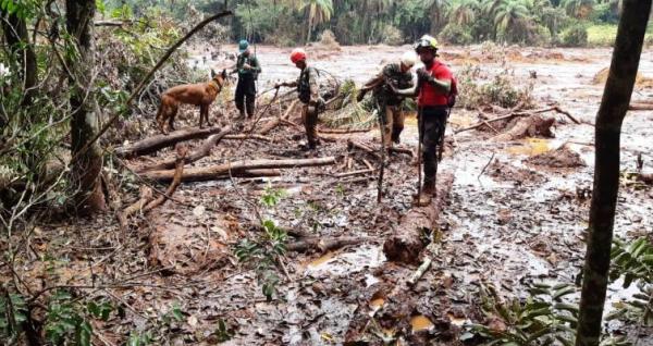 Amazonenses ajudam nas buscas por desaparecidos em Brumadinho Amazonenses ajudam nas buscas por desaparecidos em Brumadinho